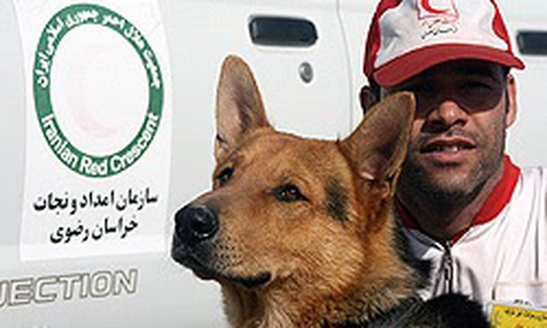 امدادگر،سگ زنده یاب