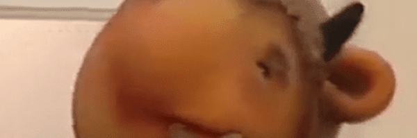 تصویر سربرگ نمایه‌ی ‌حسین کاظمی‌
