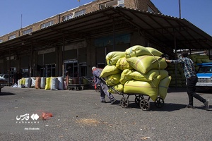 خوی شهر آفتابگردان ها