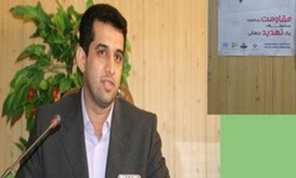 ستار هاشمی