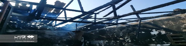 بیببیبی