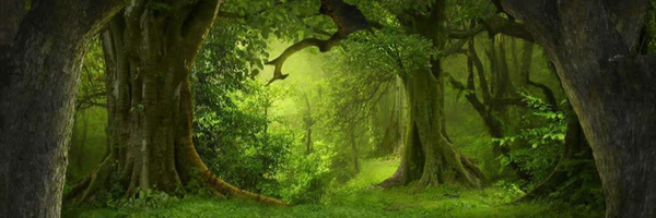 تصویر سربرگ نمایه‌ی ‌آقای دامپزشک - بِیطار‌