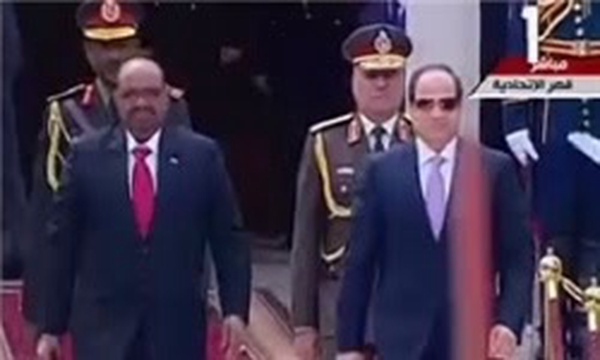 مصر