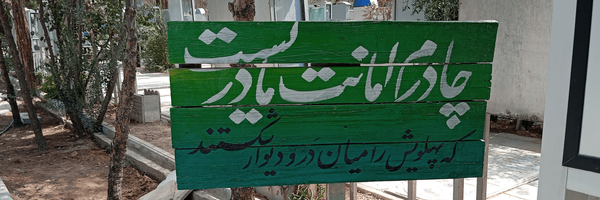 تصویر سربرگ نمایه‌ی ‌نسرین سوری‌