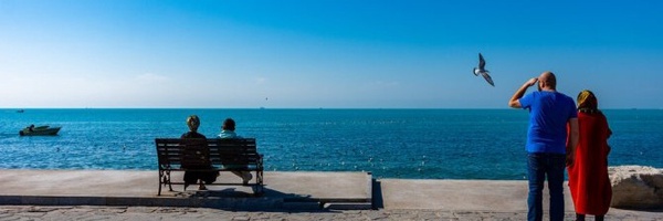 تصویر سربرگ نمایه‌ی ‌علی عرب‌