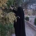 تصویر نمایه‌ی ‌Farzaneh Amanaty‌