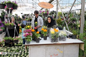گل‌های بهاری مهمان‌خانه اصفهانی‌ها