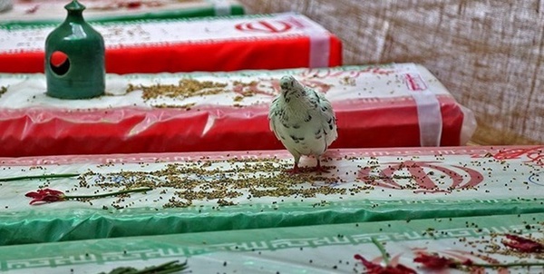 شهید همدان