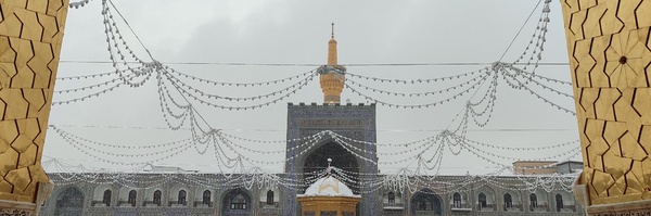 تصویر سربرگ نمایه‌ی ‌فاطمه زبردست‌