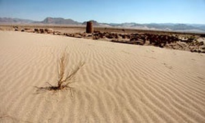 پیشروی بیابان و خشکسالی در رفسنجان