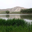 تصویر نمایه‌ی ‌علی‌