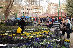 گل‌های بهاری مهمان‌خانه اصفهانی‌ها