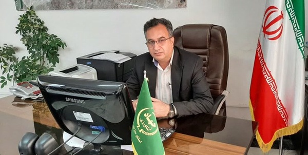 هادی زاده
