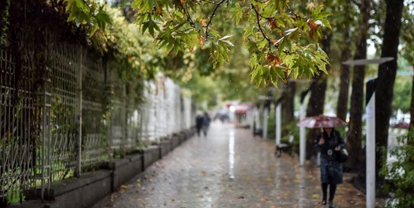 بارش باران