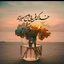 تصویر نمایه‌ی ‌شهاب رازیانی کهریزی‌