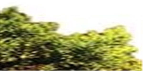 منابع طبیعی