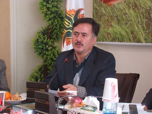 عدیل سروی