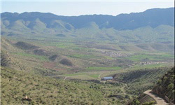 گردشگری