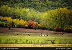 منطقه چهار دانگه ساری. روستاهای الندان و کیاده