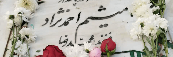 تصویر سربرگ نمایه‌ی ‌مینا احمدنژاد‌