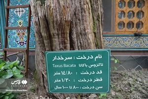 1000 سال همنشینی