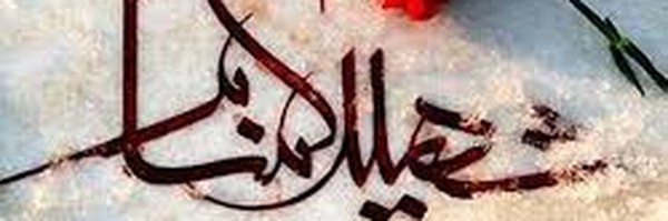 تصویر سربرگ نمایه‌ی ‌محمدهاشم لطفی‌