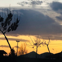 تصویر نمایه‌ی ‌اعظم سلگی‌