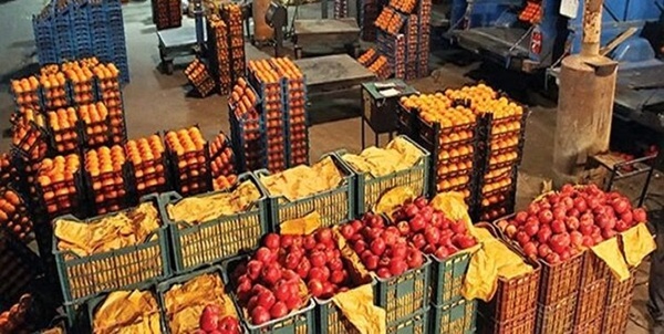 آغاز توزیع میوه شب عید