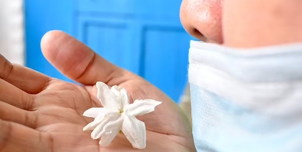 ع علمی 