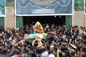 شیروکتل