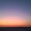 تصویر نمایه‌ی ‌قند تلخ‌