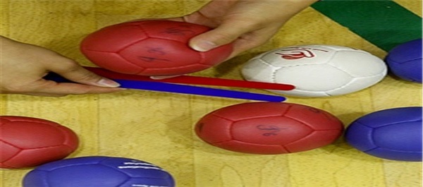 بوچیا