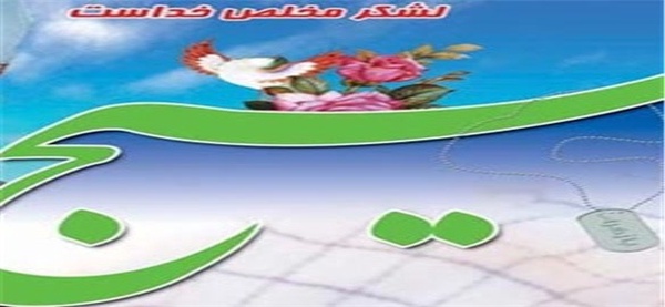 بسیج