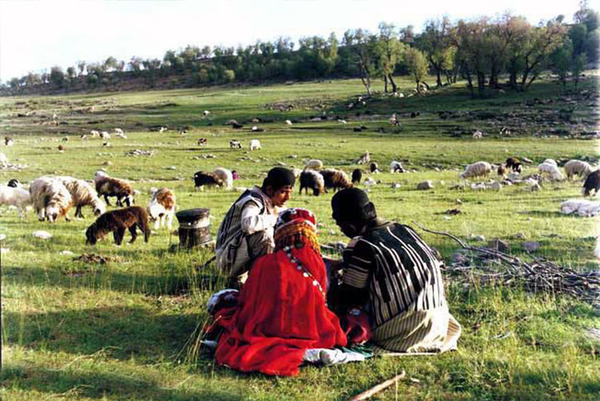 عشایر