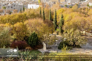 روزهای پاییزی بوستان نماز شیراز 