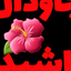 تصویر نمایه‌ی ‌Fp R‌