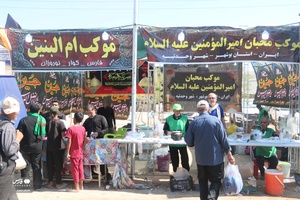 همراه با زوار و خادمان حسینی از نجف تا کربلا
