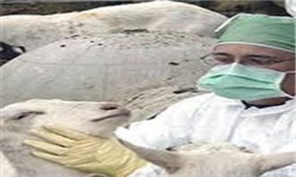 واکسیناسیون