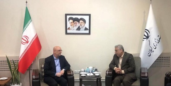 زلفی گل