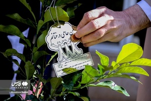 کاشت ۳ اصله نهال  به یاد سه امام جمعه فقید شیراز