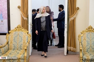 سیخرید کاخ  «وزیر خارجه هلند»