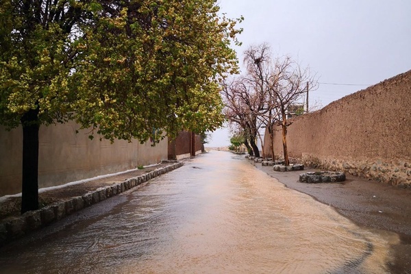 هواشناسی