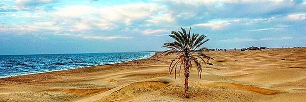 تصویر سربرگ نمایه‌ی ‌حمید حق دوست‌