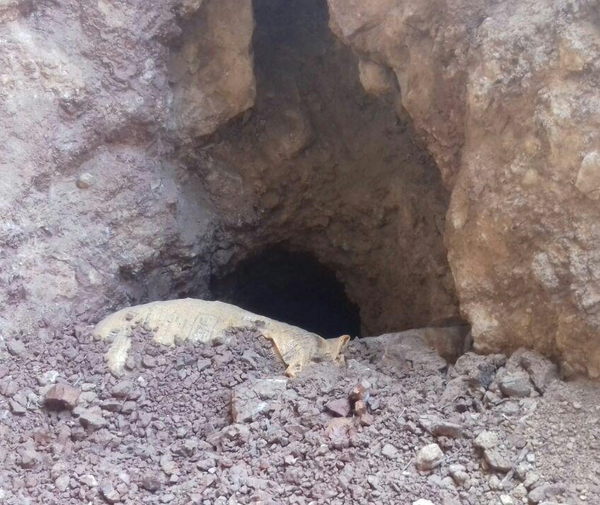 غار