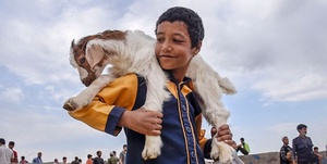 دام 