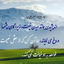 تصویر نمایه‌ی ‌ایرانی غیرتمند‌