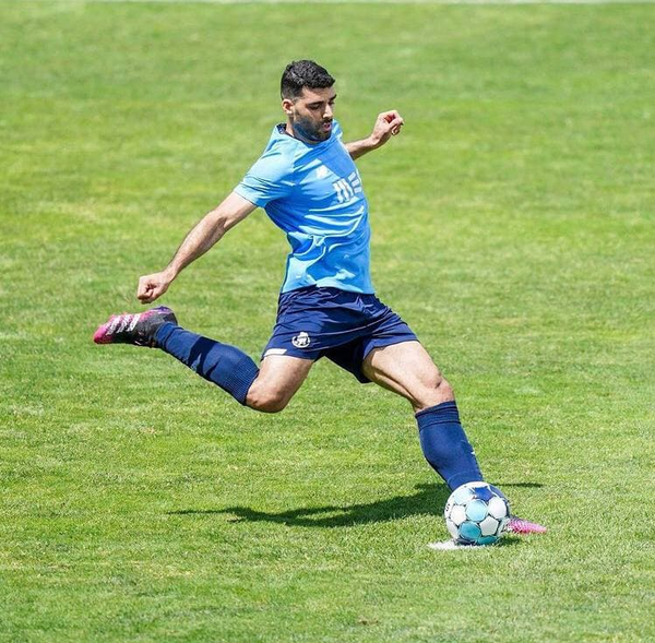 مهدی طارمی، طارمی