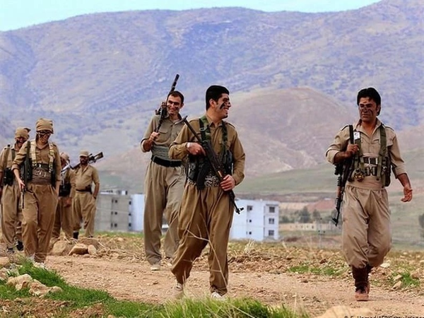 تجزیه طلب