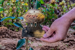 کاشت ۳ اصله نهال  به یاد سه امام جمعه فقید شیراز
