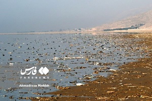 خطر! بیخِ گوشِ «مَهارلو» 